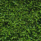 Spring Nature Green Lawn Leaves Backdrop for Photography Grass Background