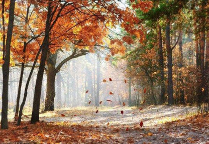 Autumn Scenery Deciduous Backdrop Yellow Fall Leaves for Photography