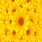 Yellow Flowers Baby Show Backdrop for Photography Wedding Background