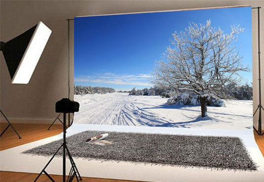 Winter Photo Studio Backdrop Blue Sky Snow Background