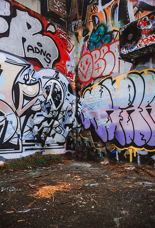 Painted Graffiti Wall Abandoned House Photography Backdrop SBH0206