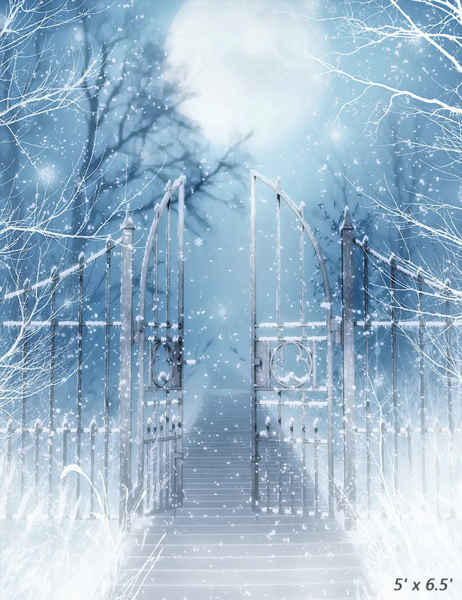Winter Snow Scenery With Gate Backdrop for Photography SBH0285