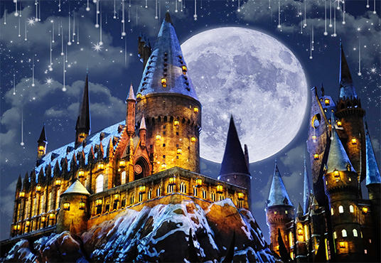 Night Hogwarts Castle Backdrop for Halloween Photography SBH0246