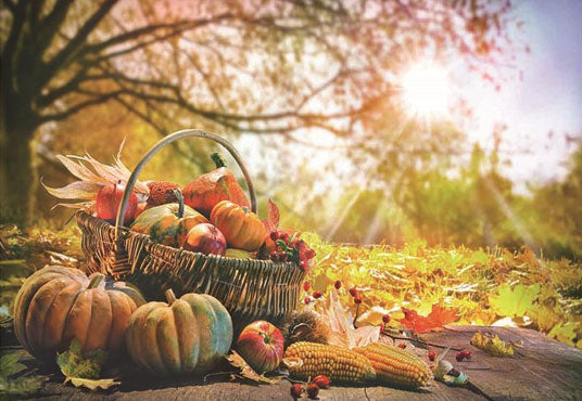 Autumn Pumpkin Photo Backdrops Wood Floor Background for Picture