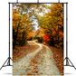 Alley Road In Fall park Backdrop for Photography SBH0192