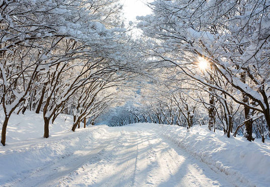 Winter Wonderland White Snow Cover Road Photo Backdrop