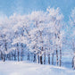 Winter White Snow Wonderland Tree Photography Backdrop