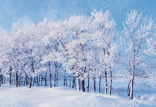 Winter White Snow Wonderland Tree Photography Backdrop