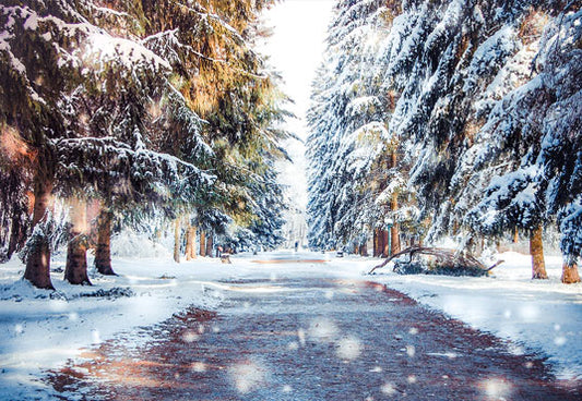 Winter Wonderland Snowing Forest Road Photography Backdrop