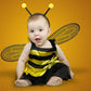 Baby Show Newborn Bee Photography Backdrop for Studio