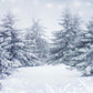Snow Forest Winter Backdrop for Photo