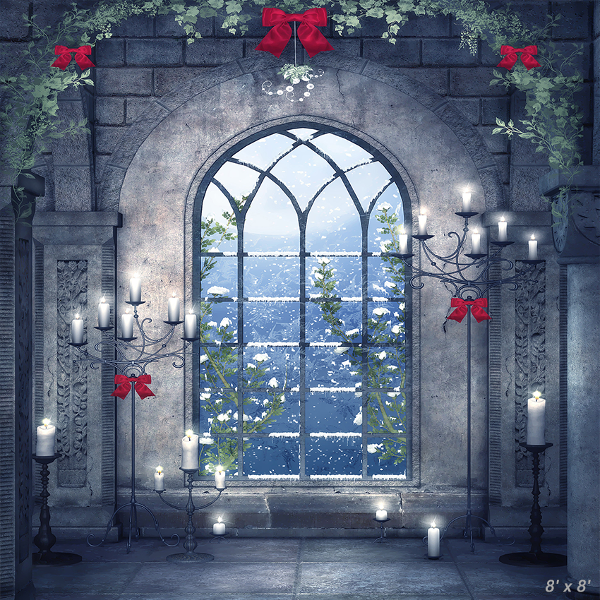 Christmas Scene Frozen Window Backdrop for Photography SBH0286