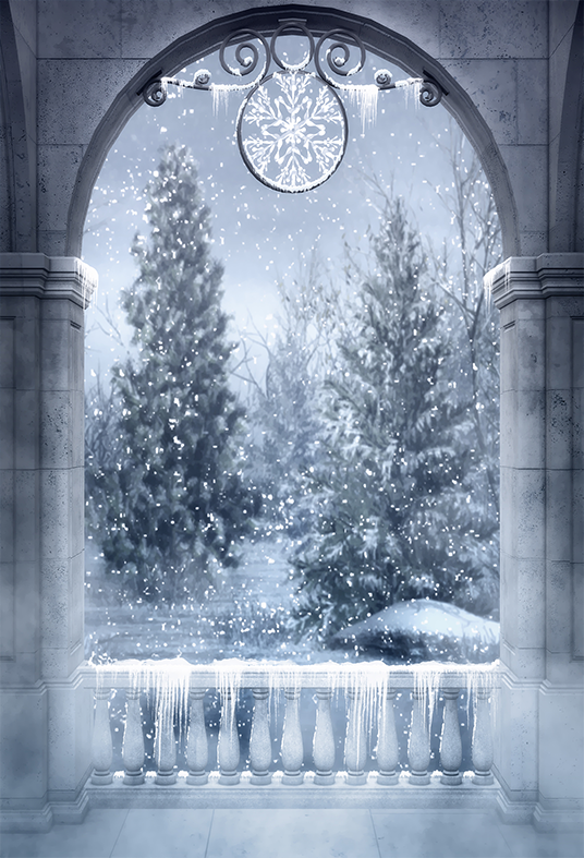 Gothic Winter Snow Forest Backdrop for Photography SBH0284