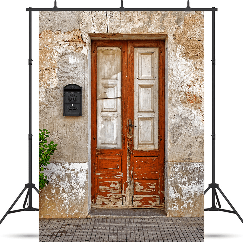 Old Wooden Door On The Wall Backdrop for Photography SBH0189