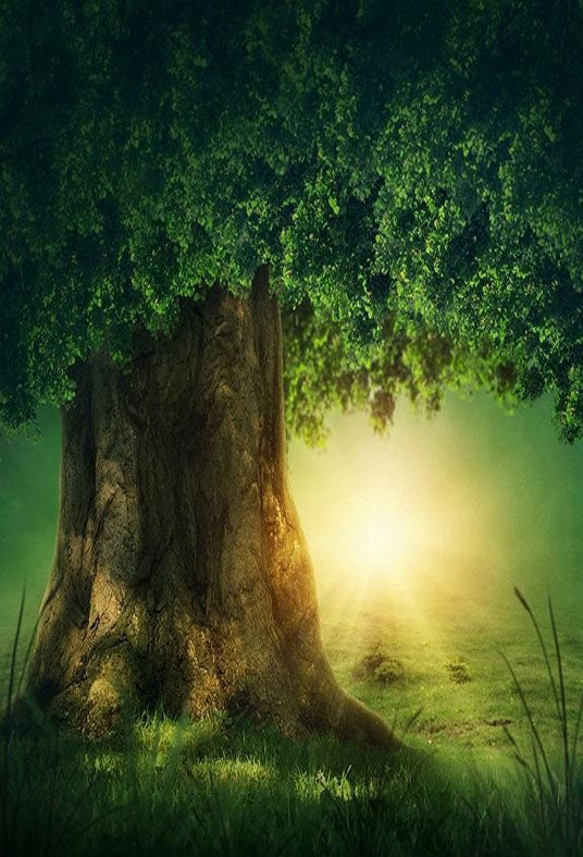 fairy tale  Big Old Tree and sunshine Backdrop for Photography Background