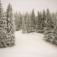 Winter Photography Backdrops for Photography