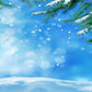Winter Blue Sky Snow Backdrops for Photography