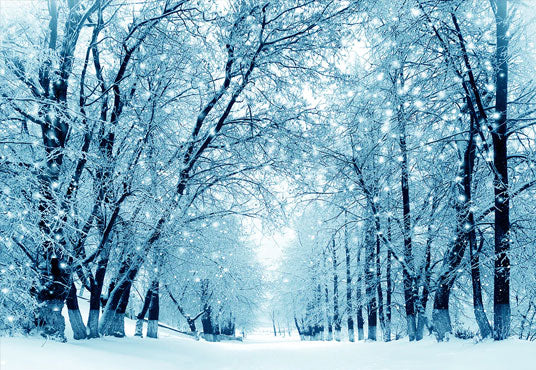 Winter Snowflake Road Tree Wonderland Photography Backdrop