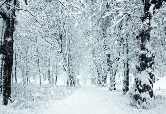 Winter White Snow Cover Forest Photography