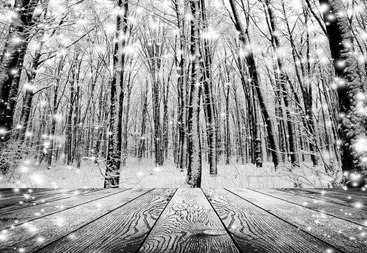 Winter Snow Black and White Photography Backdrop Snow wood Background