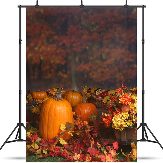 Fall Scene With Pumpkins Backdrop for Photography SBH0194