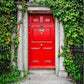 Red Door Surrounded By Green Leaves Wall Backdrop For Photography
