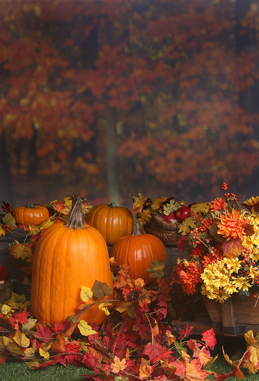 Fall Scene With Pumpkins Backdrop for Photography SBH0194
