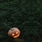 Photography Pumpkin Green Grass Halloween Photo Backdrops