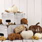 White Wooden Happy Thanksgiving Day Photo Backdrops for Studio