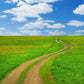 Spring Great Grassland Footpath Backdrop Nature Photography Background