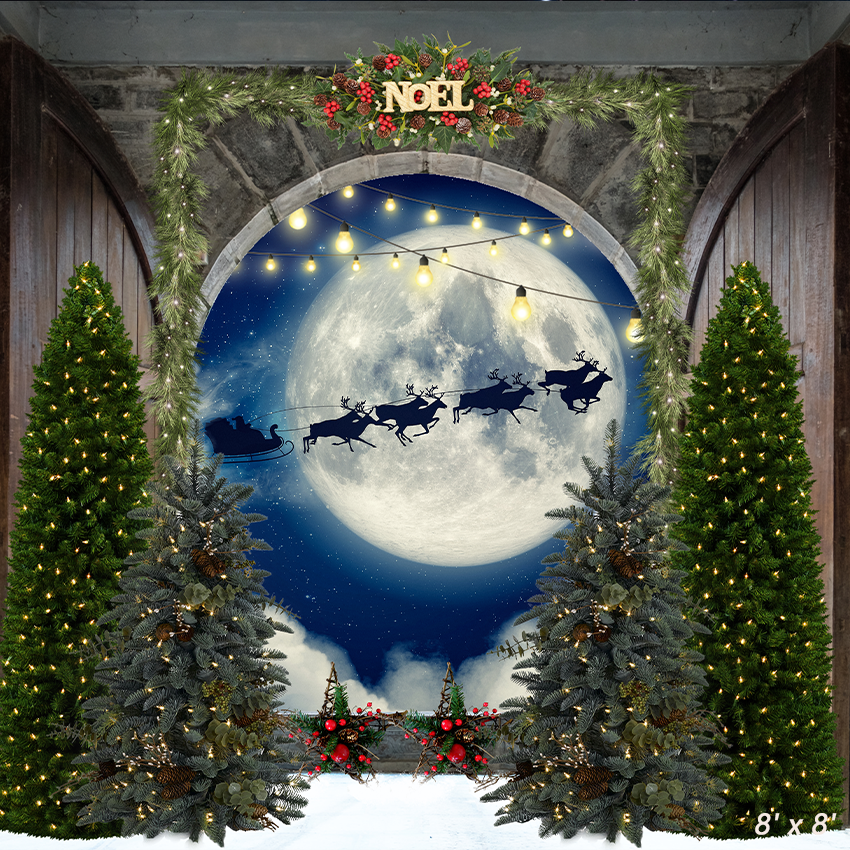 Big Moon Christmas Forest Backdrop for Photography SBH0274