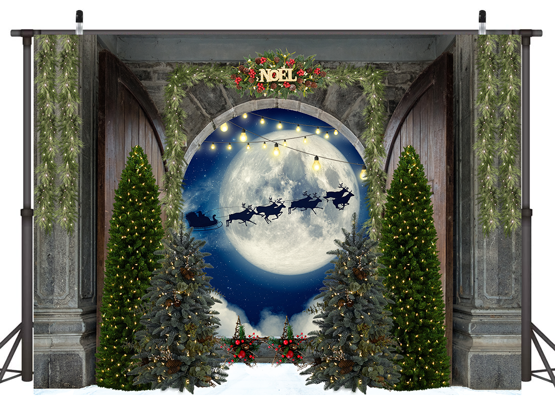 Big Moon Christmas Forest Backdrop for Photography SBH0274