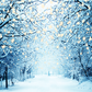 Winter Snowy Lane With Lights Photography Backdrop SBH0299