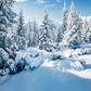 Winter Snowy Landscape Backdrops Photo Studio Props SBH0302