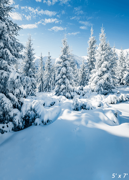 Winter Snowy Landscape Backdrops Photo Studio Props SBH0302