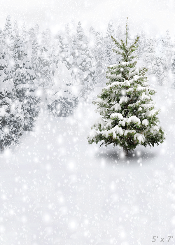 Winter Forest With Snowy Fir Trees  Backdrops for Photography SBH0303