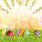 Bokeh Easter Colorful Eggs  On Grass With Sunshine Backdrop For Holiday Photography