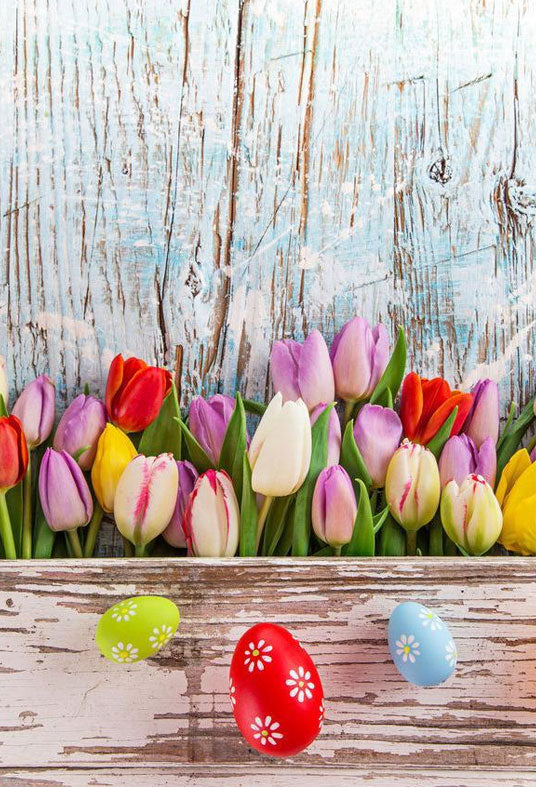 Beautiful Colorful Flower Before Wood Wall For Easter Festival Photograph Background