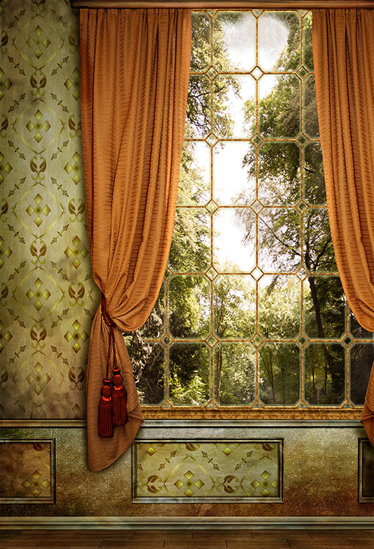 Beautiful Vintage Room with Window Photography Backdrop SBH0291