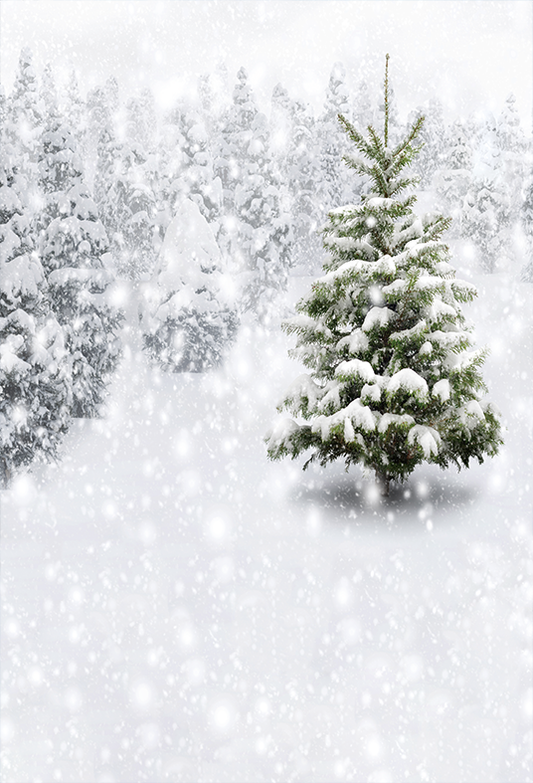Winter Forest With Snowy Fir Trees  Backdrops for Photography SBH0303