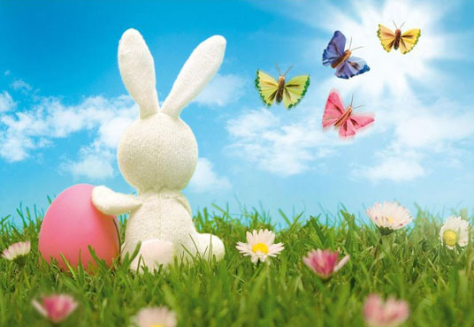 Rabbit and Butterflies Backdrop For Easter Festival Photography