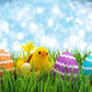 Colorful Easter Eggs On Green Grass Background Bokeh Photography Backdrops