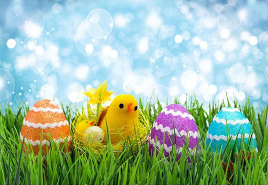 Colorful Easter Eggs On Green Grass Background Bokeh Photography Backdrops