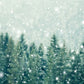 Snowflake Pine Green Winter Backdrop for Christmas