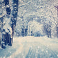 Snow Road  Winter Branches Photography Backdrop