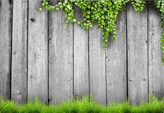 Grey Wood Wall Green Plant Spring Photography Backdrops