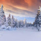 Nature Snow Mountain Forest Backdrops for Photography