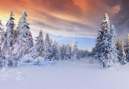 Nature Snow Mountain Forest Backdrops for Photography