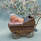 Portrait Floral Wedding Baby Newborn Backdrop for Photo Studio