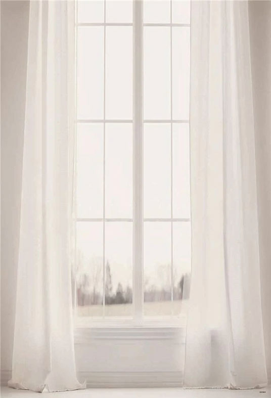 White Curtain Windows Photo Backdrop